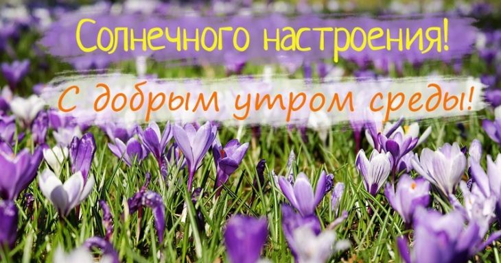 Открытки